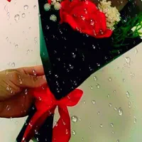 گل‌های روبانی(دسته گل،باکس،مناسب هدیه وعقد|گل مصنوعی|شاهین دژ, |دیوار