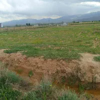 زمین-زاعی-برای-باغ-نقلی