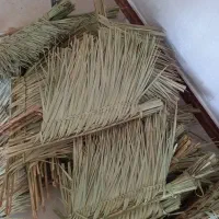 جارو محلی