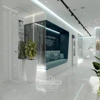 دستیار مدیریت (مدیر داخلی)