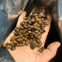 قهوه فله/قهوه لیوانی فوری/عربیکا/ربوستا/شکلات