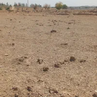 زمین کشاورزی