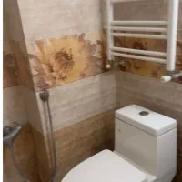 توالت فرنگی و شلنگ آب