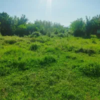 350مترزمین بابنای کلنگی روستایی نزدیک شهر|فروش زمین و ملک کلنگی|رضوانشهر, |دیوار