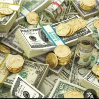 ۵میلیارددارم دنبال راه کم‌ریسک،سرمایه گذار،طلادلار