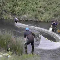 تورماهیگیری آماده ماهیگیری|ماهیگیری|بوشهر, |دیوار