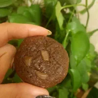 کوکی دبل چاکلت|خوردنی و آشامیدنی|مشکین‌دشت, |دیوار