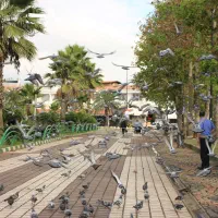 عکاسی فیلمبرداری و تولید محتوا