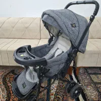 کالسکه دلیجان|کالسکه و لوازم جانبی|قم, انسجام|دیوار