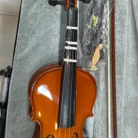 ویالن|ویولن|اصفهان, باغ دریاچه|دیوار