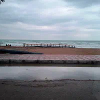 فعالیت سرمای‌گذاری در پرورش ماهی دریایی  قشم