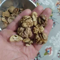 گردو دالاهو|خوردنی و آشامیدنی|دشت ذهاب, |دیوار