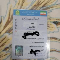 ی موتورسیکلت ۱۲۵مدل ۸۸پیشتازه