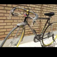 دوچرخه|دوچرخه، اسکیت، اسکوتر|مشهد, وحید|دیوار