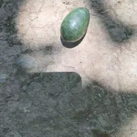 سنگ آسیاب  وسنگ یشم زیبا قیمتی