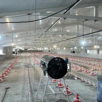 سالندار مرغداری