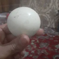 سنگ الماس اسیاب|جواهرات|تاکستان, |دیوار