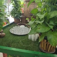 ظرف شور  کارگر ساده کمک اشپز پیک موتوری