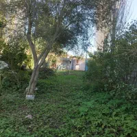 فروش917-متر-زمین-مسکونی-سرسبز