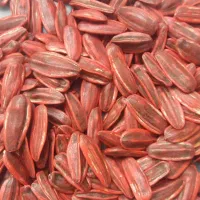 بذرآفتابگردان اصل اصل|خدمات باغبانی و درختکاری|ارومیه, |دیوار