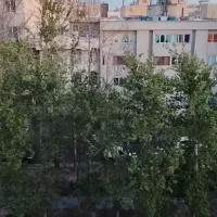 فاطمی-گلها-100-متری-کلنگی