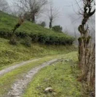 زمین ۱۱۵ متری بابنای قدیمی در روستای کته سر خمام