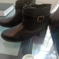 نیم پوت نو