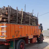 خرید انواع چوب باغی به صورت عمده|خدمات باغبانی و درختکاری|شیراز, بازار|دیوار