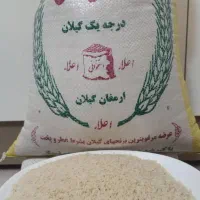 برنج درجه یک صدری هاشمی استخوانی