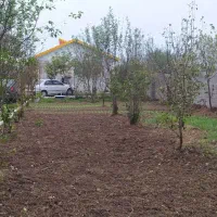 اجاره گلخانه|اجارهٔ دفتر صنعتی، کشاورزی، تجاری|طاهرگوراب, |دیوار