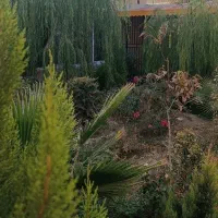 اجاره-باغ-ویلا