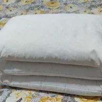 بالش پر (توک)