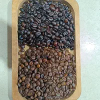 فروش قهوه (عمده خورده )