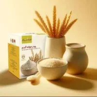 پودر جوانه گندم بین استار / جوانه گندم اصل