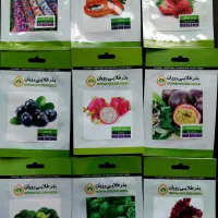 بذر سبزی صیفی دارویی استوایی خاص