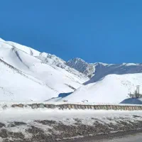 همخونه موجه میخوام