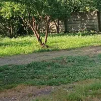 زوج (زن وشوهر) جهت کارگری +سوئیت|استخدام سرایداری و نظافت|طاهرگوراب, |دیوار