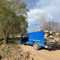 خرید ضایعات وتنه گردو و درختان باغی با بهترین قبمت