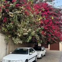 پارس TU5 مدل 1401