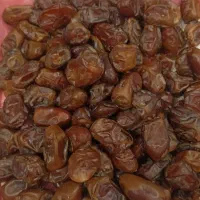 فروش خرما گوشتی امسالی