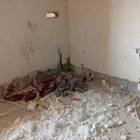 استخدام کار