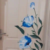 نقاشی و خط دیواری صفاپور