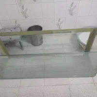 اکواریوم بزرگ|ماهی|شیراز, اصلاح‌نژاد|دیوار