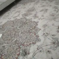 قالی دوازده متری رنگ کرم