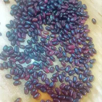 لو بیا عمده 100|خوردنی و آشامیدنی|کوهدشت, |دیوار