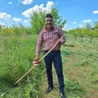 با سلام به مقدار ۵۰خلوار علوفه و۲۵۰ خارال کاه به ف