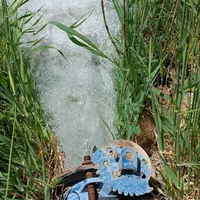 باغچه باغ/800متر/آب فراوان/فاروق|فروش زمین و ملک کلنگی|سیدان, |دیوار