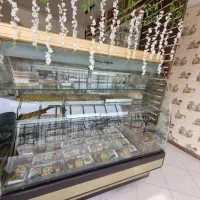 یخچال قنادی،رستورانی،لبنیاتی