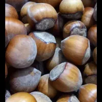 فروش فندق ییلاق 850