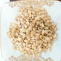 تخمه کدو آجیلی درشت و دوآتیشه تازه